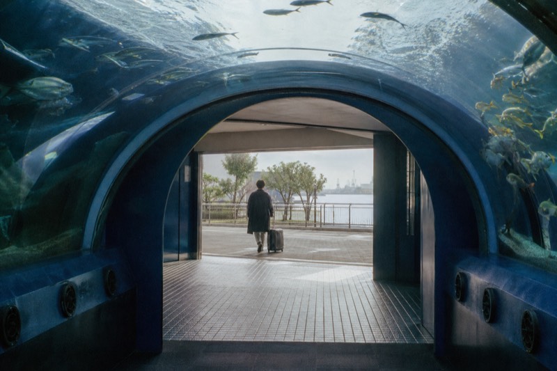 The ringed Aqua Gate tunnel where visits to Kaiyukan begin