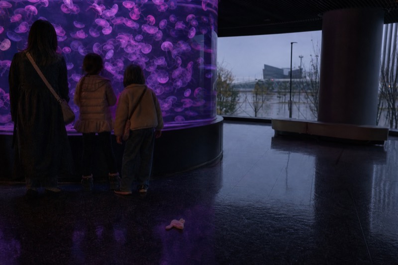 Families at a viewing window inside Osaka Aquarium Kaiyukan