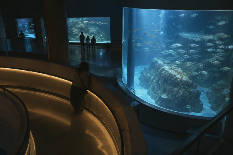 The spiral ramp winding down past habitats at Kaiyukan