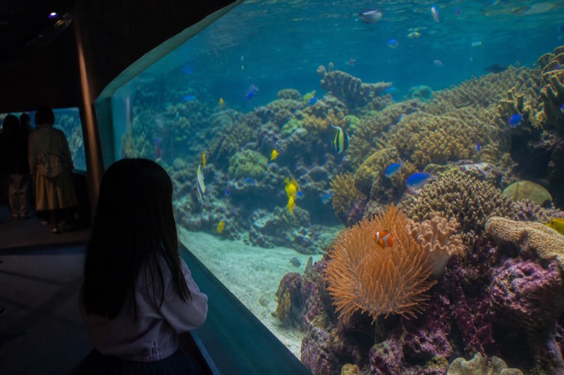 Great Barrier Reef